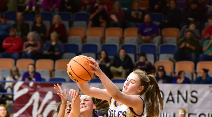 COUNTY TOURNAMENT: Cold Springs advances with 52-23 win over Hanceville