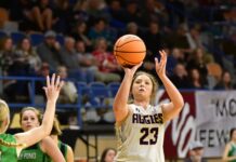 COUNTY TOURNAMENT: Fairview advances to semifinals with 53-31 win over Holly Pond