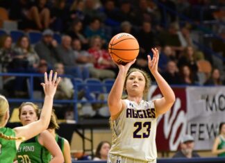 COUNTY TOURNAMENT: Fairview advances to semifinals with 53-31 win over Holly Pond