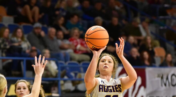 COUNTY TOURNAMENT: Fairview advances to semifinals with 53-31 win over Holly Pond