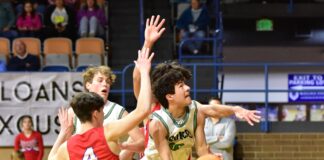 COUNTY TOURNAMENT: Broncos roll past Vinemont 61-49, advance to semifinals