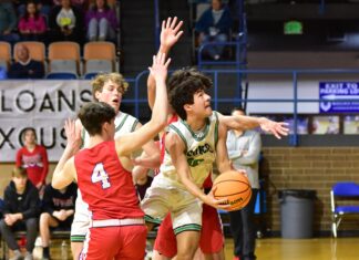 COUNTY TOURNAMENT: Broncos roll past Vinemont 61-49, advance to semifinals