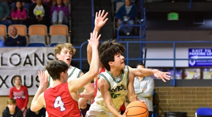 COUNTY TOURNAMENT: Broncos roll past Vinemont 61-49, advance to semifinals