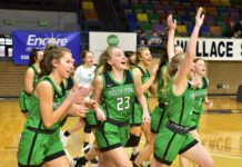 JV COUNTY TOURNAMENT: Holly Pond downs Fairview 38-29 to claim county title
