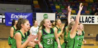 JV COUNTY TOURNAMENT: Holly Pond downs Fairview 38-29 to claim county title