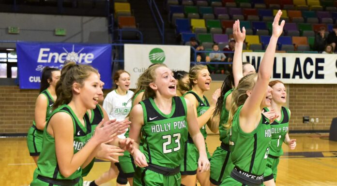JV COUNTY TOURNAMENT: Holly Pond downs Fairview 38-29 to claim county title