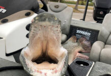 Delta bass fishing trip yields surprising state record for Dees