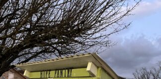 Hanceville food drive coming Feb. 6-11