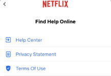 Netflix users target of scam