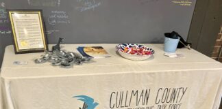 State task force addressing human trafficking in Alabama