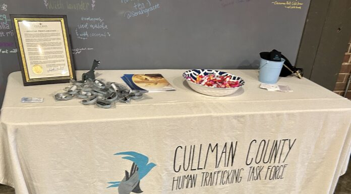 State task force addressing human trafficking in Alabama