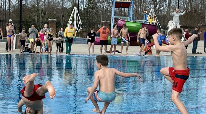 They came, they saw, they plunged