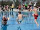 They came, they saw, they plunged