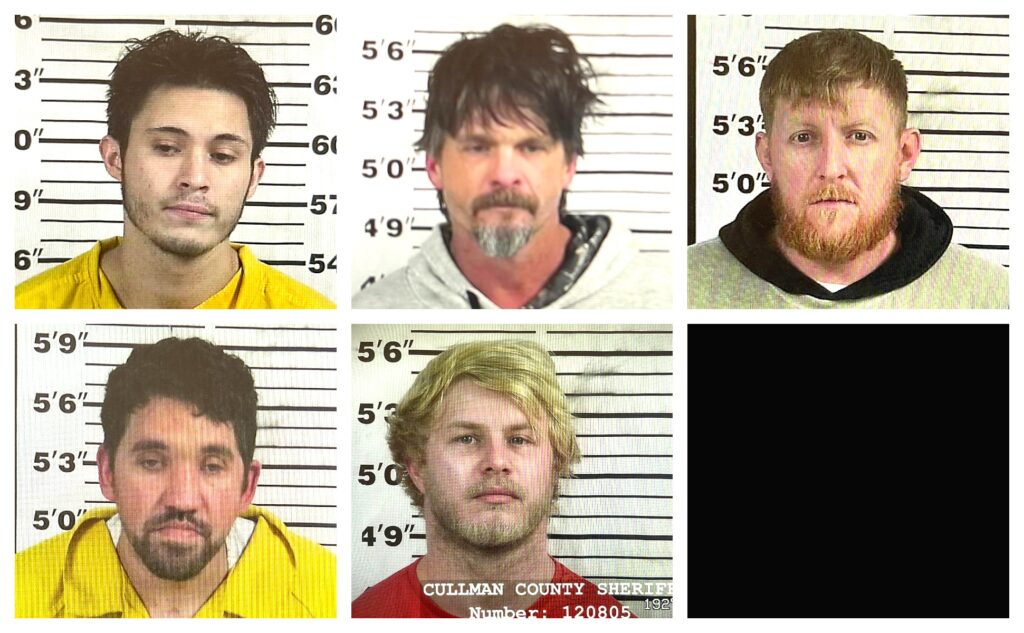 CCSO arrest roundup The Cullman Tribune