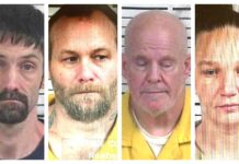 CCSO arrest roundup