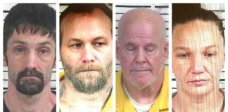 CCSO arrest roundup