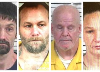CCSO arrest roundup