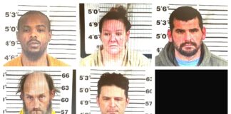 CCSO weekly arrest roundup