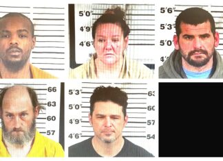 CCSO weekly arrest roundup