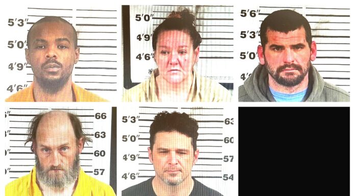 CCSO weekly arrest roundup