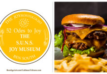 52 ODES TO JOY: The S.U.N.S. JOY MUSEUM