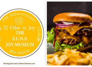 52 ODES TO JOY: The S.U.N.S. JOY MUSEUM