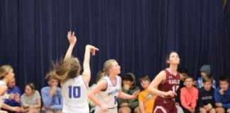 PREP BASKETBALL: Addison takes area matchups over Sumiton Christian