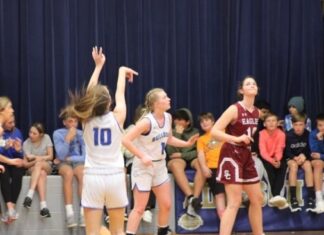 PREP BASKETBALL: Addison takes area matchups over Sumiton Christian