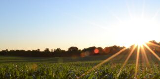 Alabama Farm Credit expands into crop insurance with new company, Farm Shield
