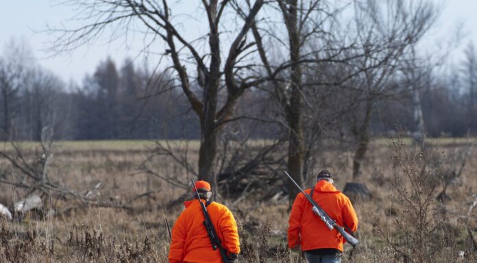 ACES: 2023 deer hunting safety refresher