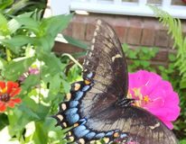 North Alabama Agriplex brings the love in February