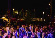 Cullman City Council hears update on 2023 Strawberry Festival