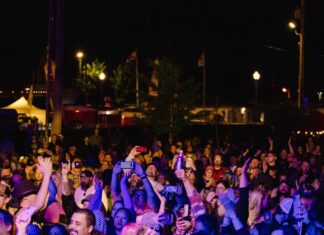 Cullman City Council hears update on 2023 Strawberry Festival