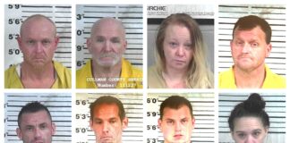 CCSO arrest roundup