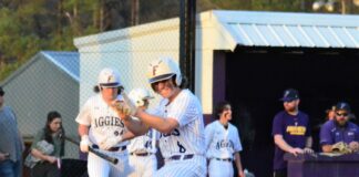 PREP BASEBALL: Fairview takes home opener over Good Hope 11-0