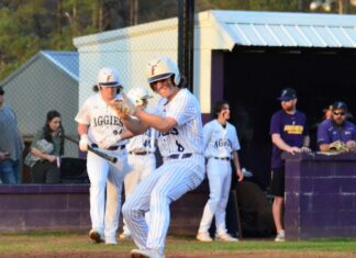 PREP BASEBALL: Fairview takes home opener over Good Hope 11-0