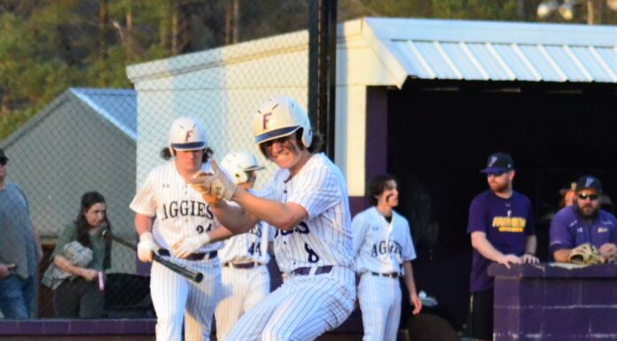 PREP BASEBALL: Fairview takes home opener over Good Hope 11-0