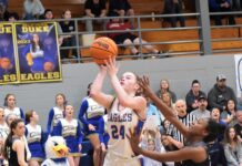 PREP BASKETBALL: No. 1 Cold Springs downs Locust Fork 48-40 to win area championship