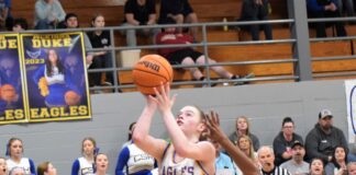 PREP BASKETBALL: No. 1 Cold Springs downs Locust Fork 48-40 to win area championship