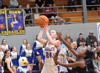 PREP BASKETBALL: No. 1 Cold Springs downs Locust Fork 48-40 to win area championship