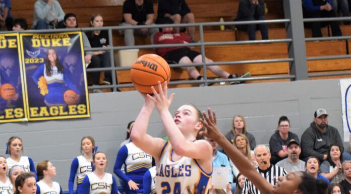 PREP BASKETBALL: No. 1 Cold Springs downs Locust Fork 48-40 to win area championship