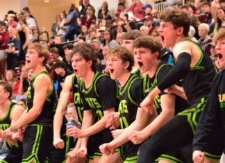 PREP BASKETBALL: Cullman takes 72-70 4OT thriller at Hartselle to claim area title