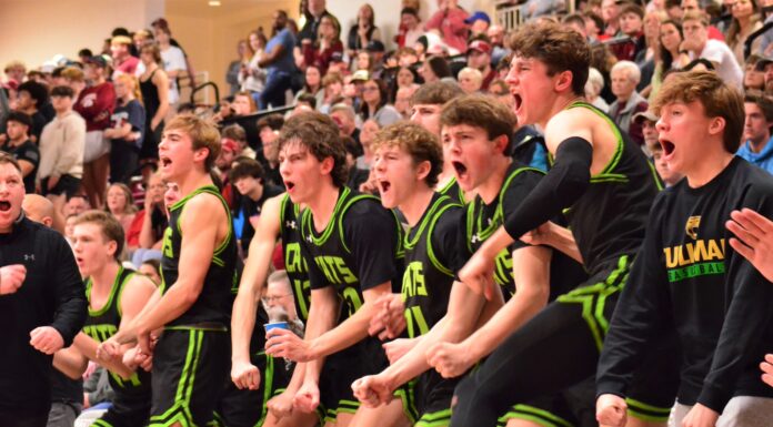 PREP BASKETBALL: Cullman takes 72-70 4OT thriller at Hartselle to claim area title