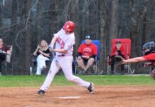 PREP BASEBALL: Vinemont suffers 1st loss of season to Brewer