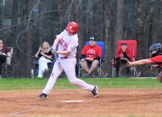 PREP BASEBALL: Vinemont suffers 1st loss of season to Brewer