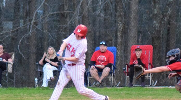 PREP BASEBALL: Vinemont suffers 1st loss of season to Brewer