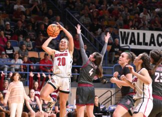 PREP BASKETBALL: No. 1 Good Hope drops 63-60 nailbiter to No. 2 Deshler in Northwest Regional Semifinals