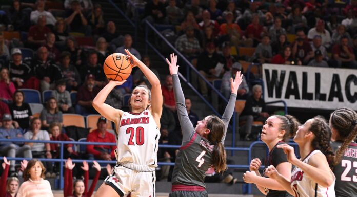 PREP BASKETBALL: No. 1 Good Hope drops 63-60 nailbiter to No. 2 Deshler in Northwest Regional Semifinals