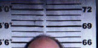 Convicted Hanceville sex offender sentenced to almost 4 years for illegal firearm possession