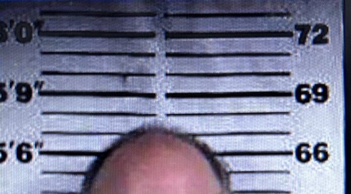 Convicted Hanceville sex offender sentenced to almost 4 years for illegal firearm possession